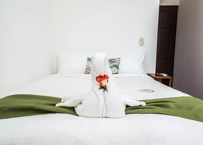 The Palms At Hotel Coco