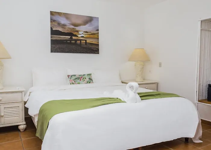 Hotel The Palms At