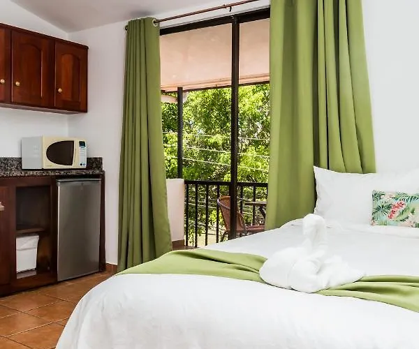 Hotel The Palms At