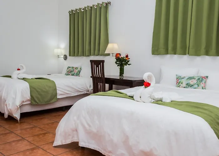 Hotel The Palms At 3*