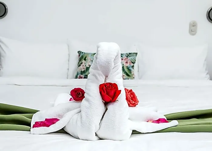 The Palms At Hotel 3*