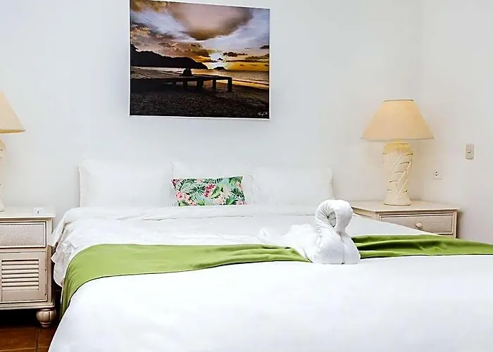 The Palms At 3*